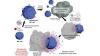 Photo for Global Anticancer Drugs Market 2020 | Manufacturers Regions Type And Application Forecast To 2025