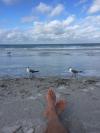 Photo for 1BR Condo Vacation Rental By Owner in Indian Shores, Florida