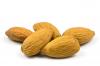 Photo for Seed Health Market Outlook, Trends, Forecast of Top Countries 2020-2030 | FMI Report