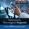 Photo for Postmortem Neurological Diagnosis