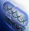 Photo for World Bio Similars Market Size,Industry Growth and Forecast Report Till 2024