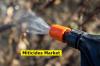 Photo for Miticides Market Demands, Types And Projected Industry Size & Shares 2023