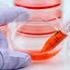Photo for Cell Isolation Market Outlook, Growth, Revenue, Trends and Forecasts 2019-2023