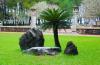 Photo for Just How to Care For New Turf Lawns