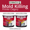 Photo for Mold Killing Primer Calgary