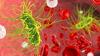 Photo for Global Sepsis Diagnostics Market Research Report - Industry Analysis, Size, Share, Growth, Trends and Forecast Till 2026