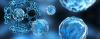 Photo for Global Nanomaterials Market Research Report - Industry Analysis, Size, Share, Growth, Trends and Forecast Till 2026