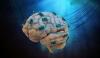 Photo for Global Neuroprosthetics Market: Increasing Number of Patients Suffering From Neurological Disorders and Nerve Injury