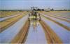 Photo for Global Soil Fumigant Market Research Report - Industry Analysis, Size, Share, Growth, Trends and Forecast Till 2026