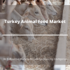 Photo for Exhaustive Study on Turkey Animal Feed Market