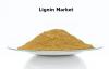 Photo for Lignin Market Production, Sales, Consumption And Growth By 2027