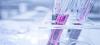Photo for human naive t cell isolation kit