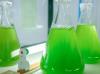 Photo for Global Algae Biofuel Market Research Report - Industry Analysis, Size, Share, Growth, Trends and Forecast Till 2026