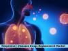 Photo for Global Respiratory Diseases Drugs Replacement Market Size, Analysis, Statistics, Trends, Forecast Report, 2024