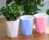 Photo for Flower Pots and Planters Market 2013-2028  Size, Share, Trends and Forecasts