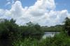 Photo for 2BR Cottage Vacation Rental By Owner in Nokomis, Florida