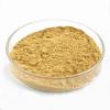 Photo for Global Yeast Extract Market Research Report - Industry Analysis, Size, Share, Growth, Trends and Forecast Till 2026