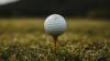 Photo for Global Golf Ball Market 2020 | Manufacturers, Regions, Type And Application, Forecast To 2025
