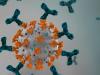 Photo for Adenosine Analogue
