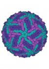 Photo for complement Age-related macular degeneration