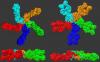 Photo for exosome western blot