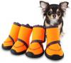 Photo for Global Dog Shoes Market 2020 | Manufacturers, Regions, Type And Application, Forecast To 2025