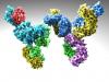 Photo for OV therapy Combination with Luciferase