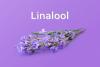 Photo for Global Linalool Market Research Report - Industry Analysis, Size, Share, Growth, Trends and Forecast Till 2026