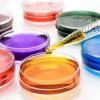 Photo for Global Alkylamines Market Research Report - Industry Analysis, Size, Share, Growth, Trends and Forecast Till 2026
