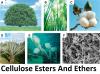 Photo for Cellulose Esters And Ethers Market Size Worth $7.8 Billion By 2027
