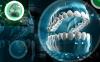 Photo for Global CBCT Dental Imaging Market Research Report - Industry Analysis, Size, Share, Growth, Trends and Forecast Till 2026