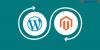 Photo for Magento to WordPress Conversion Tips & Tricks for Better UX Design