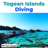 Photo for Togean Islands Diving