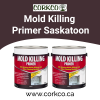Photo for Mold Killing Primer Saskatoon