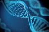 Photo for Global Genotyping Market Research Report - Industry Analysis, Size, Share, Growth, Trends and Forecast Till 2026