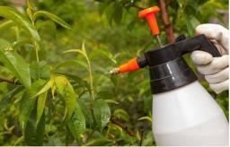 Photo for Global Fungicide Active Ingredients Market Research Report - Industry Analysis, Size, Share, Growth, Trends and Forecast Till 2026