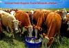 Photo for Animal Feed Organic Trace Minerals Market Worth $880.2 Million By 2025