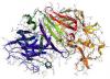 Photo for Global Pepsin Market 2020 | Manufacturers Regions Type And Application Forecast To 2025