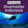 Photo for Divemaster Indonesia