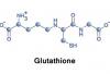 Photo for World Glutathione Market Size,Industry Growth and Forecast Report Till 2025