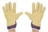 Photo for World Hand & Arm Protection Market: Market Size,Industry Growth and Forecast Report Till 2025