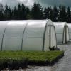 Photo for Global Greenhouse Film Market Research Report - Industry Analysis, Size, Share, Growth, Trends and Forecast Till 2026