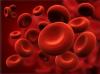 Photo for World Human Coagulation Factor VIII Market Size,Industry Growth and Forecast Report Till 2025