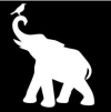 Photo for Apparel Zoo, Inc