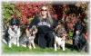 Photo for Canine Psychology Center
