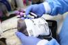 Photo for Blood Transport Bags And Boxes Market