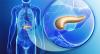 Photo for Global Exocrine Pancreatic Insufficiency Market Research Report - Industry Analysis, Size, Share, Growth, Trends and Forecast Till 2026