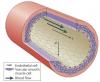 Photo for synthetic muscle fiber