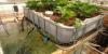 Photo for Global Aquaponics Market 2020 | Manufacturers Regions Type And Application Forecast To 2025