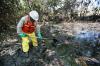 Photo for How are Land Oil Spills Cleaned-up and Managed?